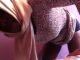 Big Ass Accra Babe Twerking