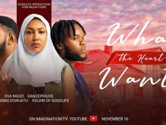 What The Heart Wants (2024) Nollywood Movie Download