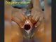 Naija Lady Stretch Her Wide Pussy Hole On Camera